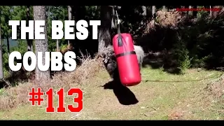 Best COUB #113 - HOT WEEKS VIDEOS