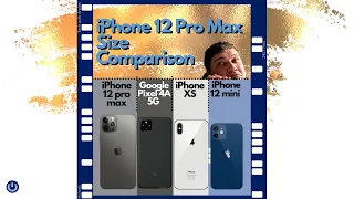 iPhone 12 Pro Max size