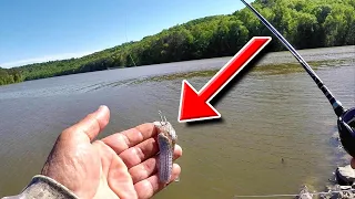 Easy Way To Catch Eating Sized Catfish From The Bank!