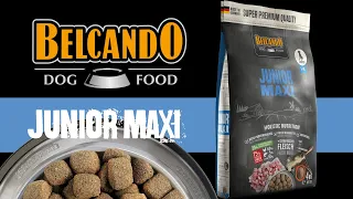 Belcando Junior Maxi – немецкий сухой корм для щенков крупных пород