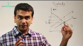 Microeconomics: Subsidy