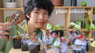 Surprise Plant Unboxing | begonias, aroids, botanicaz