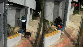 Abandonó a su perrito para darle una mejor vida