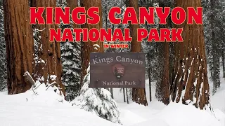 Winter Wonderland : Kings Canyon National Park