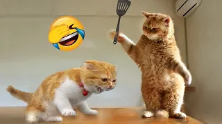 New Funny Animals 🤣 Funniest Cats and Dogs Videos 😻🐶 Part 18