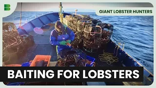 Lobster Bait Strategies - Giant Lobster Hunters - Documentary