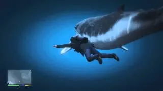 GTA 5 Next Gen RARE Giant Humpback Whale