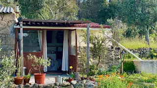 Upgrades to our Homestead and a Spring Garden Tour 🌺