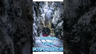 С последним днем осени...🍁🍁Встречаем зиму...❄️