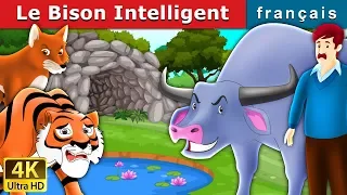 Le Bison Intelligent | Intelligent Buffalo in French | Contes De Fées Français |@FrenchFairyTales