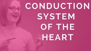 CONDUCTION SYSTEM OF THE HEART (SA Node, AV Node, bundle of His, Purkinje Fibers)