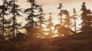 The Beauty Of Life Is Strange: Before the Storm