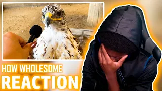 I'M NOT CRYING🥺️ YOU ARE😢 | I interviewed animals with a tiny mic again - REACTION