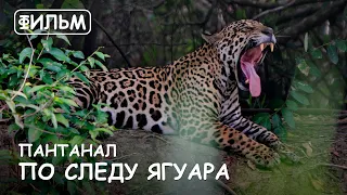 Мир Приключений - Фильм: "Пантанал. По следу Ягуара". Лучший отдых в Бразилии. Pantanal. Brazil.