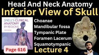 Inferior View of Skull || Head and Neck Anatomy || Snells Page 616-618 || #headandneckanatomy