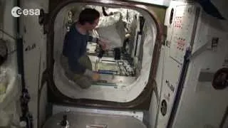 Quiz: How Often Do Astronauts Wash Their Clothes in Space? | ESA Science HD Video