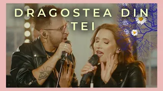 ❤️ Dragostea din tei | Cover by Nicoleta Oancea & Band | Trupa Cover | Trupa Nunta | Dansul Mirilor
