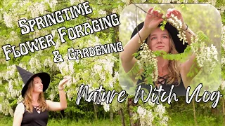 Beltane Vlog: make color-changing floral jelly, start an herb garden, chickens, and landscape tour!