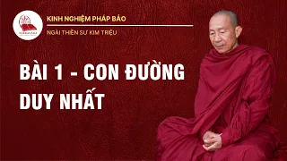 Bài 1: Con Đường Duy Nhất Trong Kinh Nghiệm Pháp Bảo - Ngài Thiền Sư Kim Triệu Khippapañño