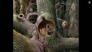 Samorost (2021 Remaster) Full Playthrough / Longplay / Walkthrough (no commentary)