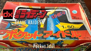 Raideen Pocket Idol - CollectionDX