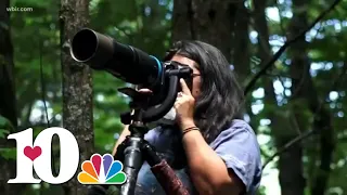 Biologists at Smoky Mountains National Park keep Bears away from people