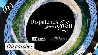 Exploring our biggest questions | Dispatches from The Well (Trailer)