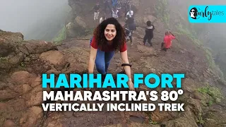 I Went On Maharashtra's 80° Vertically Inclined Trek At Harihar Fort In Nashik | Curly Tales