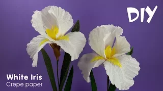 How to make crepe paper flowers | Crepe paper IRIS | DIY Craft tutorials