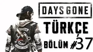 ÖLÜM FAKÜLTESİ | DAYS GONE TÜRKÇE 37