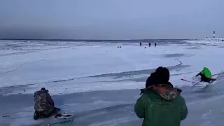 8 марта в Финском заливе рыбаки вынуждены были бросить все и бежать на берег по ломающемуся льду.