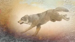 Исповедь волка