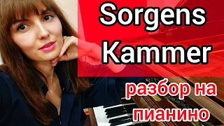 Sorgens Kammer Dimmu Borgir РАЗБОР на ПИАНИНО/Уроки фортепиано для взрослых