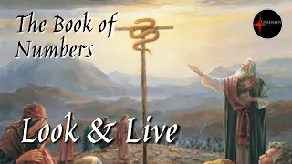 Come Follow Me - The Book of Numbers: "Look and Live"