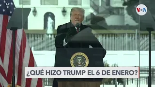 ¿Qué hizo Donald Trump el 6 de enero?