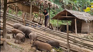 Grind rice and feed wild boars, Survival Instinct, Wilderness Alone (ep109)