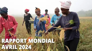 Rapport mondial, avril 2024