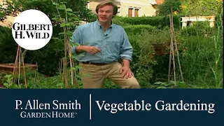 Tips to Grow Your Own Vegetables  | Garden Home (603)