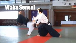 Ueshiba Mitsuteru Waka Sensei at the 45th Iwate University Aikido Demonstration