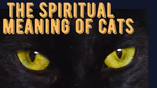 The Spiritual Meaning of Cats New Video 2023 .