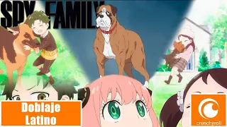 Anya quiere un perro de premio | Spy x Family | Doblaje Latino | 1080p HD
