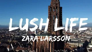 Zara Larsson - Lush Life  || Mariah Music