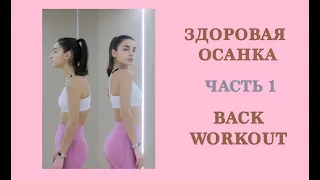 УПРАЖНЕНИЯ ДЛЯ ОСАНКИ ⎢часть 1  ⎢BACK WORKOUT