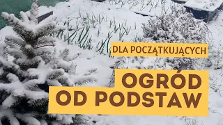 Ogrodnictwo dla początkujących. Od czego zacząć przygodę z ogrodem. Porady ogrodnicze