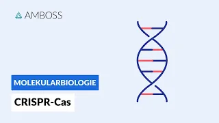 CRISPR-Cas9  -- Biochemie / Molekularbiologie -- AMBOSS Video