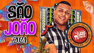 BONDE DO GATO PRETO - SÃO JOÃO 2024 MUSICAS NOVAS PARA PAREDAO