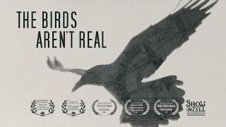The Birds Aren’t Real (Short Film)