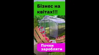 Квітковий бізнес, рецепти успішного вирощування квітів в теплиці.