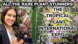 Rare Plant Paradise! TROPICAL PLANT INTL EXPO - Houseplants, Rare Plants Tour & Plant Trends! Part 1