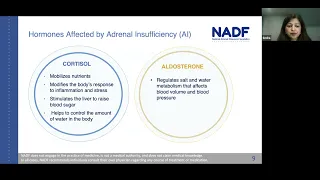 Living with Adrenal Insufficiency: Understanding Your Condition is Empowering